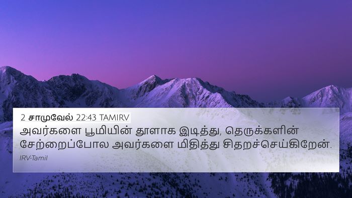 2 சாமுவேல் 22:43 TAMIRV Bible Verse Image