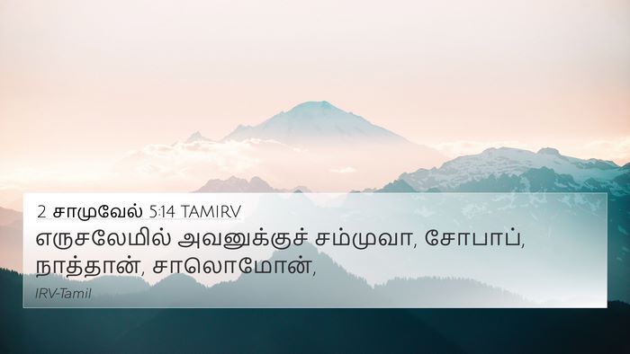 2 சாமுவேல் 5:14 TAMIRV Bible Verse Image