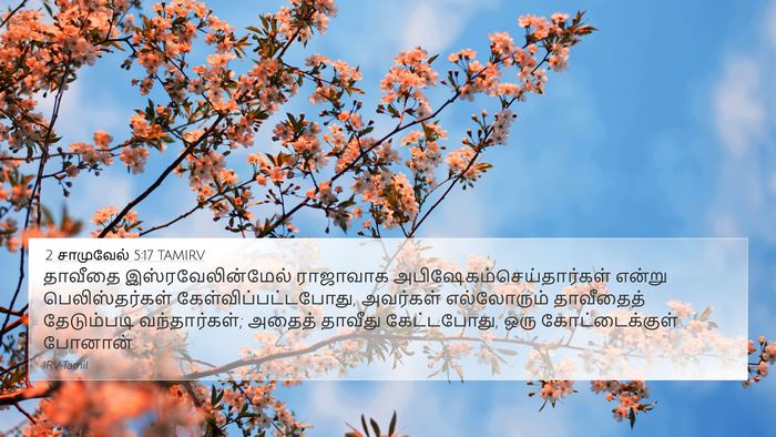 2 சாமுவேல் 5:17 TAMIRV Bible Verse Image