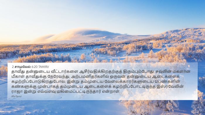 2 சாமுவேல் 6:20 TAMIRV Bible Verse Image