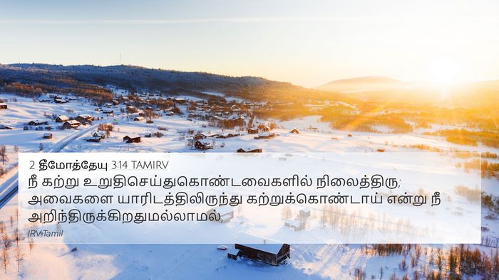 2 தீமோத்தேயு 3:14 TAMIRV Bible Verse Image