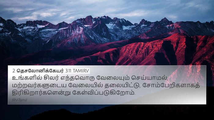 2 தெசலோனிக்கேயர் 3:11 TAMIRV Bible Verse Image