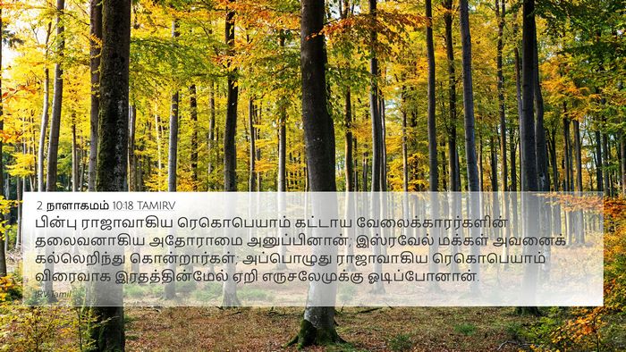 2 நாளாகமம் 10:18 TAMIRV Bible Verse Image