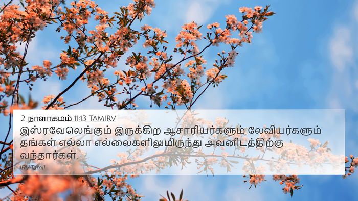 2 நாளாகமம் 11:13 TAMIRV Bible Verse Image