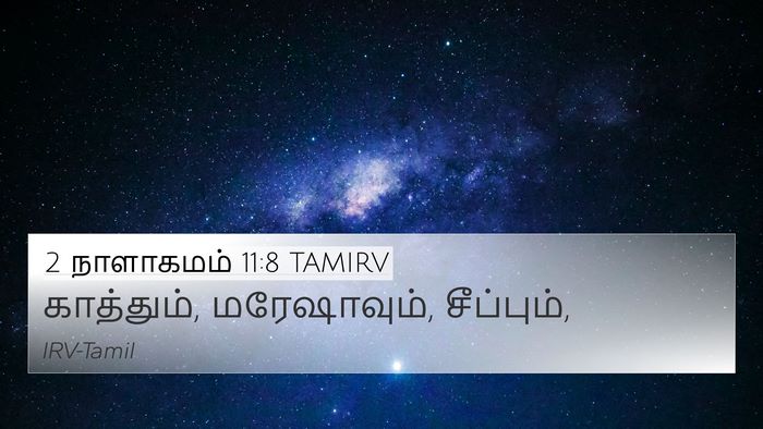 2 நாளாகமம் 11:8 TAMIRV 4K Wallpaper - காத்தும், - 4K Wallpaper Bible Verse