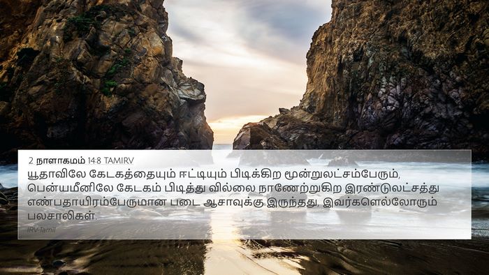 2 நாளாகமம் 14:8 TAMIRV Bible Verse Image