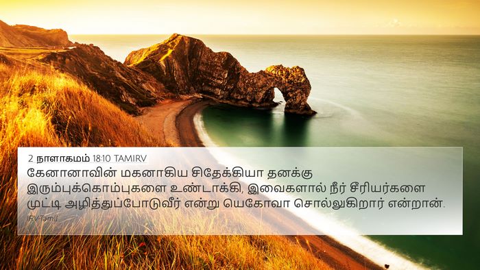 2 நாளாகமம் 18:10 TAMIRV Bible Verse Image