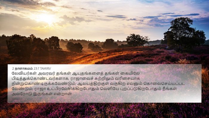 2 நாளாகமம் 23:7 TAMIRV Bible Verse Image