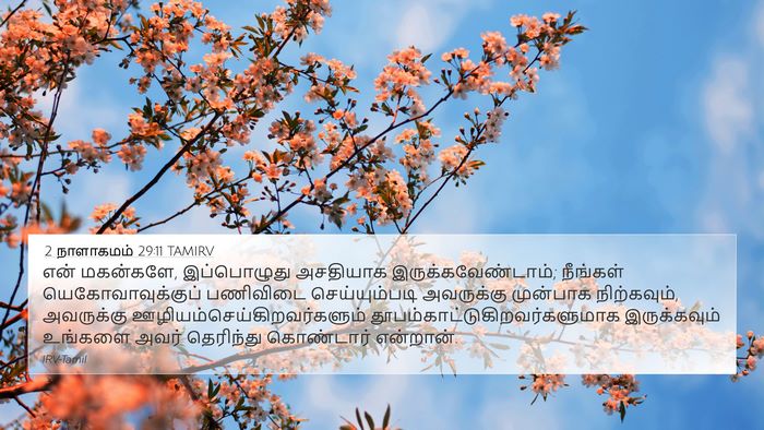 2 நாளாகமம் 29:11 TAMIRV Bible Verse Image