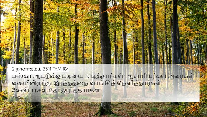 2 நாளாகமம் 35:11 TAMIRV Bible Verse Image