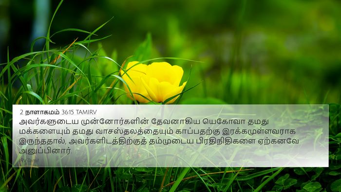2 நாளாகமம் 36:15 TAMIRV Bible Verse Image