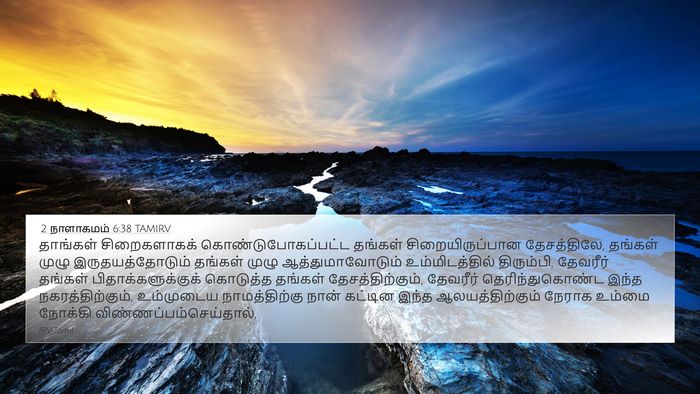 2 நாளாகமம் 6:38 TAMIRV Bible Verse Image
