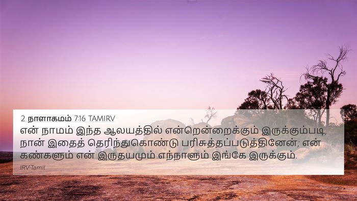 2 நாளாகமம் 7:16 TAMIRV Bible Verse Image