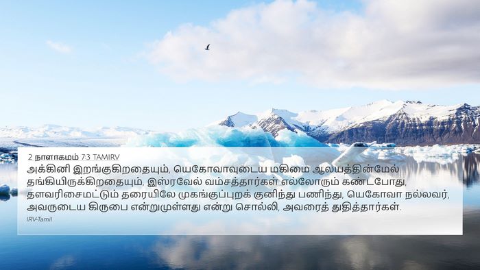 2 நாளாகமம் 7:3 TAMIRV Bible Verse Image