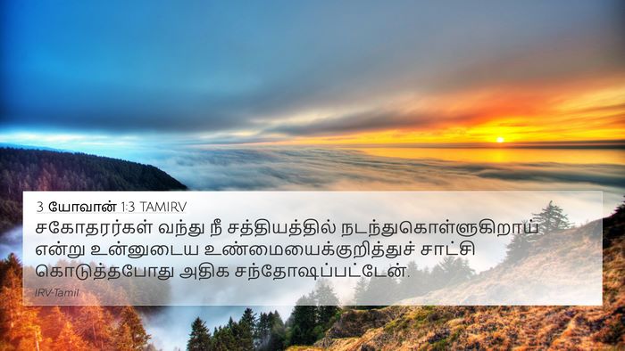 3 யோவான் 1:3 TAMIRV Bible Verse Image