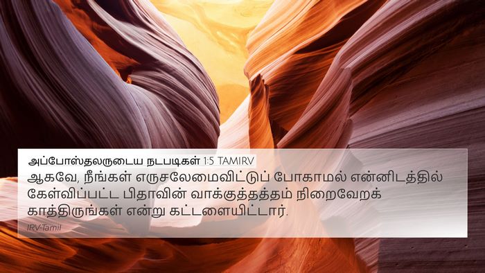 அப்போஸ்தலருடைய நடபடிகள் 1:5 TAMIRV Bible Verse Image