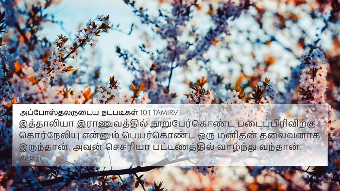 அப்போஸ்தலருடைய நடபடிகள் 10:1 TAMIRV Bible Verse Image