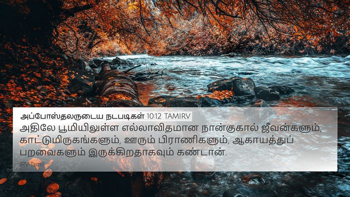 அப்போஸ்தலருடைய நடபடிகள் 10:12 TAMIRV 4K Wallpaper - அதிலே பூமியிலுள்ள - 4K Wallpaper Bible Verse