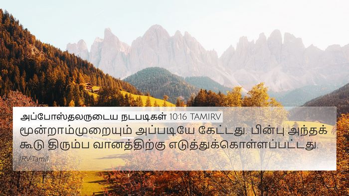 அப்போஸ்தலருடைய நடபடிகள் 10:16 TAMIRV 4K Wallpaper - மூன்றாம்முறையும் - 4K Wallpaper Bible Verse