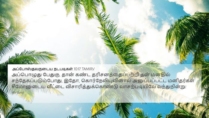 அப்போஸ்தலருடைய நடபடிகள் 10:17 TAMIRV Bible Verse Image