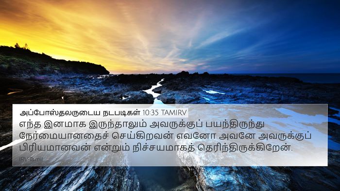 அப்போஸ்தலருடைய நடபடிகள் 10:35 TAMIRV Bible Verse Image