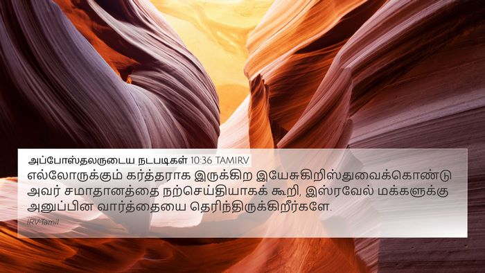 அப்போஸ்தலருடைய நடபடிகள் 10:36 TAMIRV Bible Verse Image