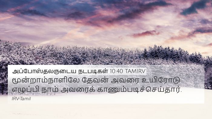 அப்போஸ்தலருடைய நடபடிகள் 10:40 TAMIRV Bible Verse Image
