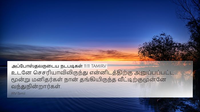 அப்போஸ்தலருடைய நடபடிகள் 11:11 TAMIRV 4K Wallpaper - உடனே - 4K Wallpaper Bible Verse