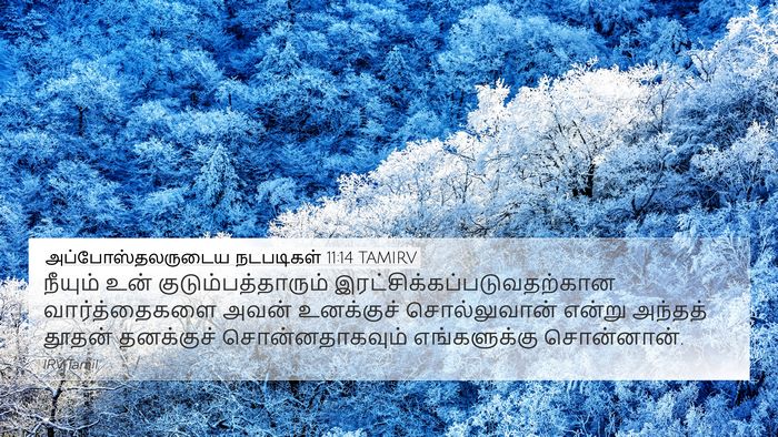 அப்போஸ்தலருடைய நடபடிகள் 11:14 TAMIRV Bible Verse Image