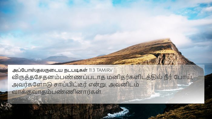 அப்போஸ்தலருடைய நடபடிகள் 11:3 TAMIRV 4K Wallpaper -  - 4K Wallpaper Bible Verse