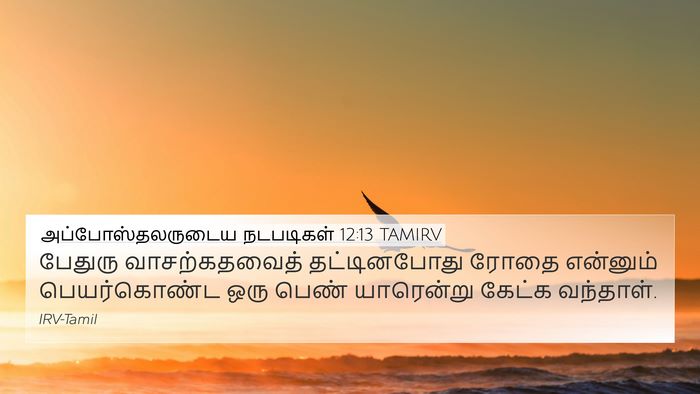 அப்போஸ்தலருடைய நடபடிகள் 12:13 TAMIRV Bible Verse Image