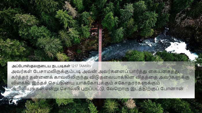 அப்போஸ்தலருடைய நடபடிகள் 12:17 TAMIRV Bible Verse Image