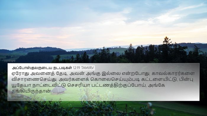 அப்போஸ்தலருடைய நடபடிகள் 12:19 TAMIRV Bible Verse Image