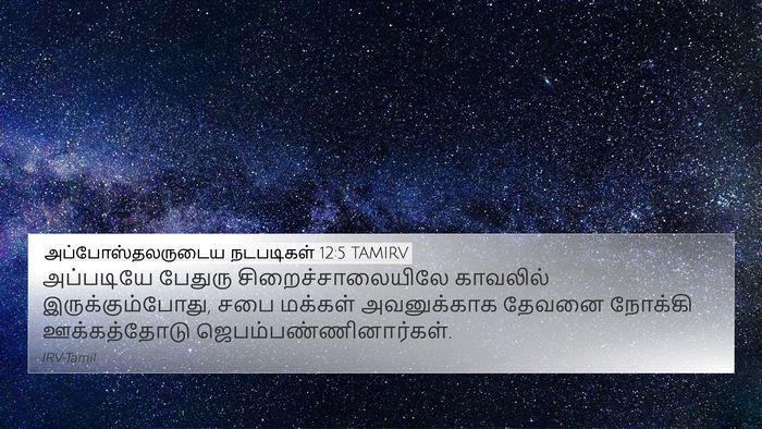 அப்போஸ்தலருடைய நடபடிகள் 12:5 TAMIRV Bible Verse Image
