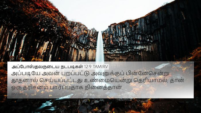 அப்போஸ்தலருடைய நடபடிகள் 12:9 TAMIRV Bible Verse Image