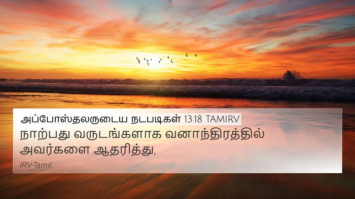 அப்போஸ்தலருடைய நடபடிகள் 13:18 TAMIRV Bible Verse Image