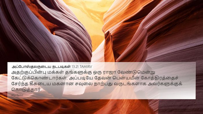 அப்போஸ்தலருடைய நடபடிகள் 13:21 TAMIRV Bible Verse Image