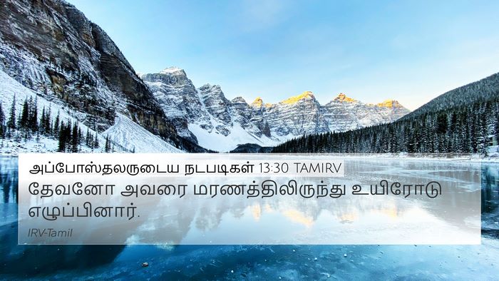 அப்போஸ்தலருடைய நடபடிகள் 13:30 TAMIRV Bible Verse Image