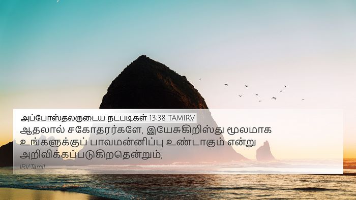 அப்போஸ்தலருடைய நடபடிகள் 13:38 TAMIRV Bible Verse Image