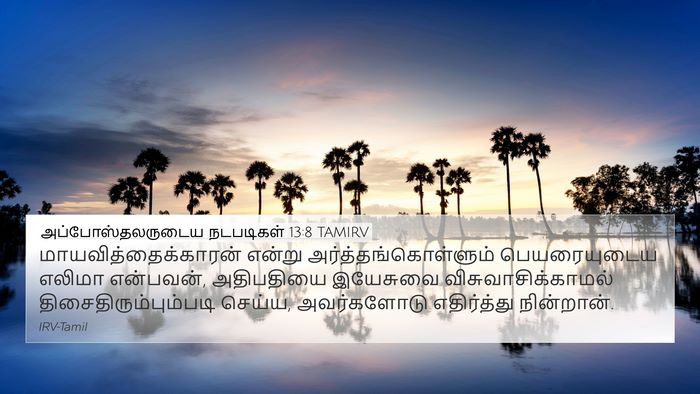 அப்போஸ்தலருடைய நடபடிகள் 13:8 TAMIRV Bible Verse Image