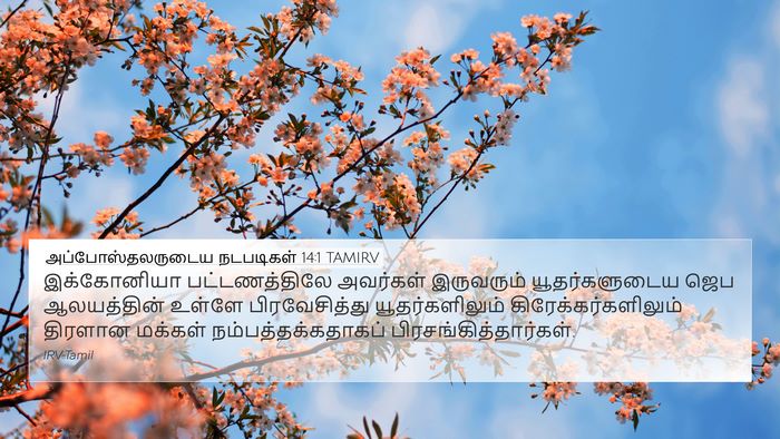 அப்போஸ்தலருடைய நடபடிகள் 14:1 TAMIRV Bible Verse Image