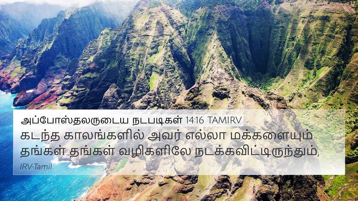 அப்போஸ்தலருடைய நடபடிகள் 14:16 TAMIRV Bible Verse Image
