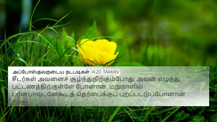 அப்போஸ்தலருடைய நடபடிகள் 14:20 TAMIRV Bible Verse Image