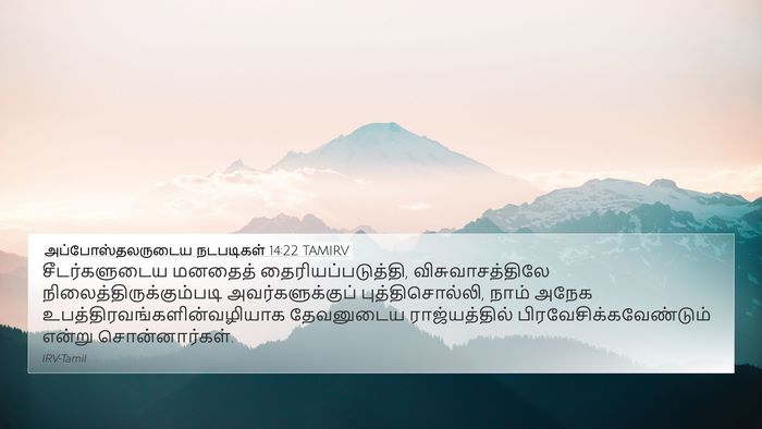 அப்போஸ்தலருடைய நடபடிகள் 14:22 TAMIRV Bible Verse Image