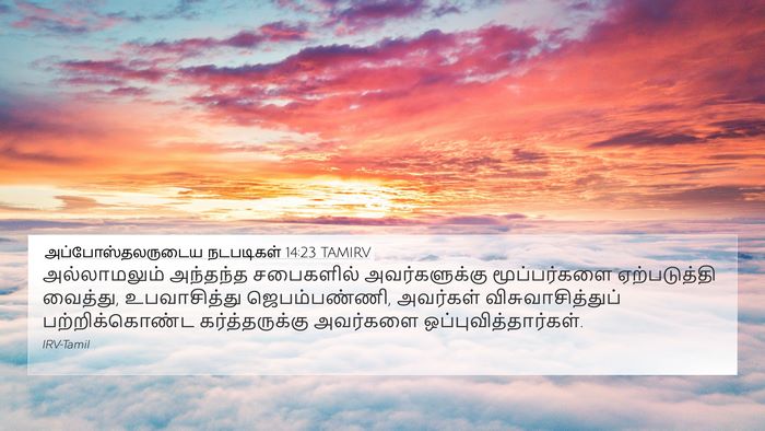 அப்போஸ்தலருடைய நடபடிகள் 14:23 TAMIRV Bible Verse Image