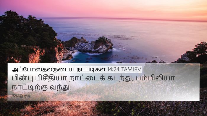 அப்போஸ்தலருடைய நடபடிகள் 14:24 TAMIRV Bible Verse Image