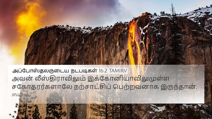 அப்போஸ்தலருடைய நடபடிகள் 16:2 TAMIRV 4K Wallpaper - அவன் - 4K Wallpaper Bible Verse