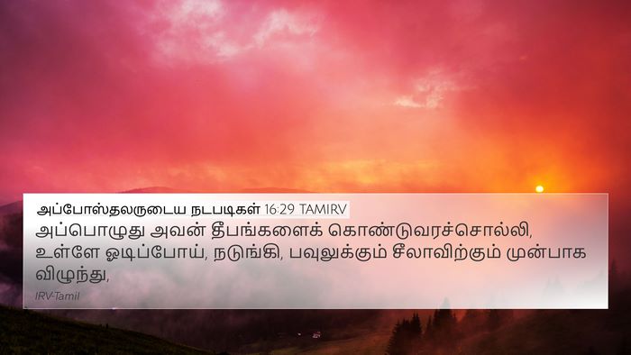 அப்போஸ்தலருடைய நடபடிகள் 16:29 TAMIRV Bible Verse Image