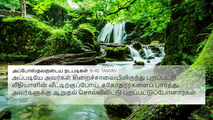 அப்போஸ்தலருடைய நடபடிகள் 16:40 TAMIRV Bible Verse Image
