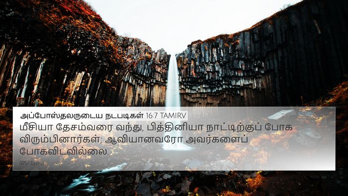 அப்போஸ்தலருடைய நடபடிகள் 16:7 TAMIRV Bible Verse Image